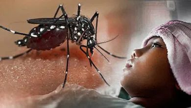 Kasus DBD di Muna Tercatat 56 Kasus di Bulan Januari