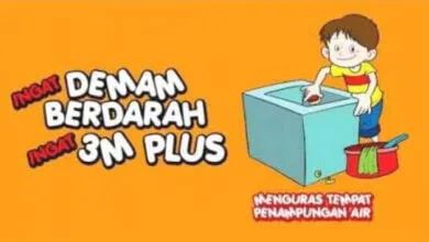 Ilustrasi DBD 3 M