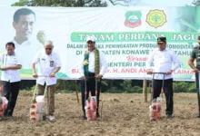 Kunker ke Konut, Menteri Pertanian Beri Bantuan Bibit, Alsintan dan Dana P2L ke Petani