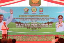 Potensi Lahan Produktif Pertanian di Sultra Seluas 2,8 Juta Hektare