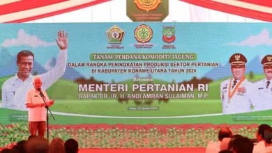 Potensi Lahan Produktif Pertanian di Sultra Seluas 2,8 Juta Hektare