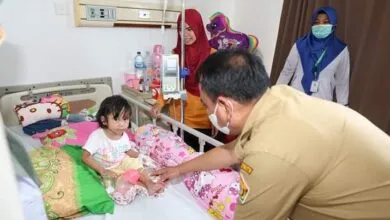 Penderita DBD di Sultra Capai 396 Pasien Sejak Desember 2023