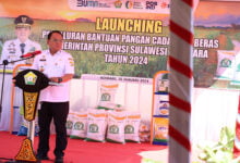 Pemprov Sultra Salurkan 1.316 Ton Beras ke 219 Ribu KPM