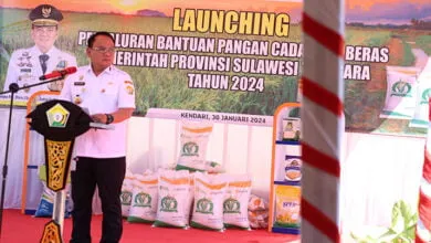 Pemprov Sultra Salurkan 1.316 Ton Beras ke 219 Ribu KPM