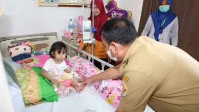 Total 1.992 Kasus DBD di Sultra per Februari 2024, Tertinggi Kendari