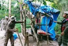 Satpol PP Kendari Ciduk Pria dan Wanita Diduga PSK sedang Mesum Digubuk