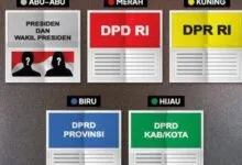 Kenali Warna dan Perbedaan 5 Kartu Suara Jelang Pencoblosan Pemilu 2024