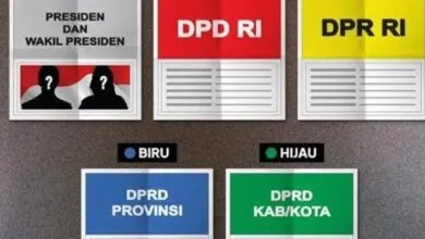 Kenali Warna dan Perbedaan 5 Kartu Suara Jelang Pencoblosan Pemilu 2024