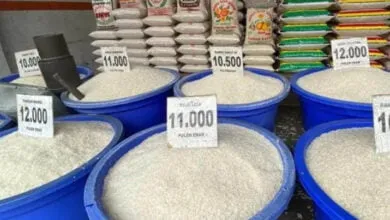 Harga Beras di Mubar Melonjak, Diprediksi hingga Ramadan