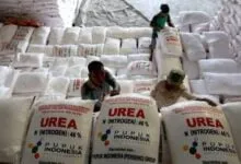 Ilustrasi Pupuk Urea