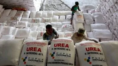 Ilustrasi Pupuk Urea
