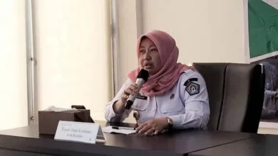 Plt Kepala Dinkes Kendari, drg Fauziah. Foto: Muh Ridwan Kadir/Detiksultra.com
