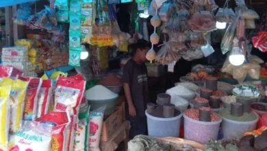 Sejumlah Harga Bahan Pokok dan Buah-buahan Masih Tinggi