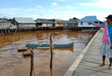 Diterjang Banjir Bercampur Lumpur Tanah Merah, Pemukiman Warga Desa Baliara Bombana Diduga Tercemar