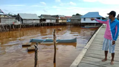 Diterjang Banjir Bercampur Lumpur Tanah Merah, Pemukiman Warga Desa Baliara Bombana Diduga Tercemar