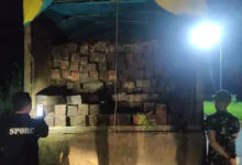 Gakkum KLHK Amankan Kayu Ilegal dari Butur, Pelaku Terancam 5 Tahun Penjara