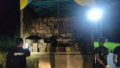 Gakkum KLHK Amankan Kayu Ilegal dari Butur, Pelaku Terancam 5 Tahun Penjara