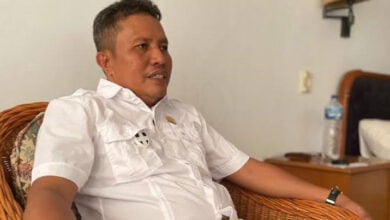 Wakil Ketua DPW Partai Nasdem Sultra, Syahrul Said. Foto: Istimewa