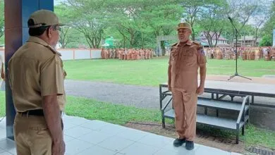 Seleksi PPPK 2024, Pemda Mubar Bakal Prioritaskan Tenaga Honorer