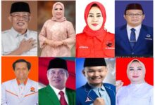 Caleg Terpilih Dapil Sultra 2 Didominasi Wajah Baru, Sisakan Nurlin Surunuddin sebagai Petahana