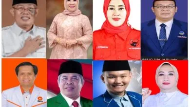 Caleg Terpilih Dapil Sultra 2 Didominasi Wajah Baru, Sisakan Nurlin Surunuddin sebagai Petahana
