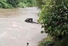 Jatuh saat Lewati Jembatan di Koltim, Mobil Bak Terbuka Hanyut Terbawa Arus