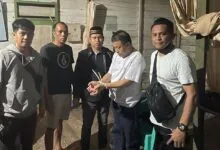 Buron Tujuh Bulan, Wahidin, Tersangka Kasus Pengrusakan Hutan Dibekuk Polda Sultra