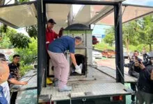 2,7 Kilogram Sabu-Sabu Dimusnahkan Ditresnarkoba Polda Sultra