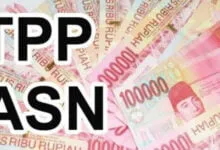 Ilustrasi TPP ASN