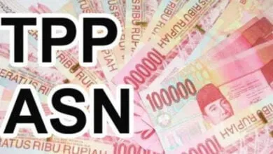 Ilustrasi TPP ASN