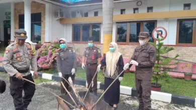 Kejari Konsel Musnahkan Barang Bukti Nakoba dari Tindak Pidana Umum