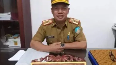 Pemda Konsel Tunda Pelantikan 96 Kepala Desa Terpilih