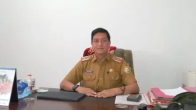 Dinsos Sultra Punya Program Sekolah Gratis untuk Anak Panti Sosial