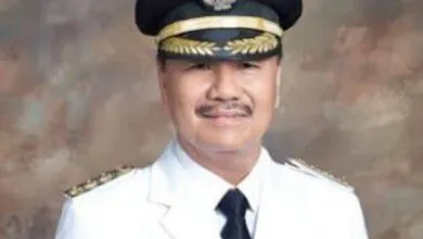 Kepala Desa Hasil Pilkades Serentak di Konsel Bakal Dilantik 30 April 2024