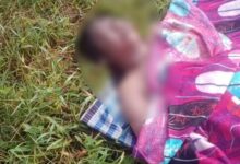 Sesosok Mayat Perempuan Ditemukan di Saluran Irigasi Konawe, Polisi Selidiki Identitas Korban