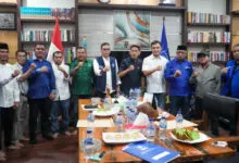 DPP PAN Keluarkan Rekomendasi Empat Cakada di Sultra