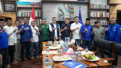 DPP PAN Keluarkan Rekomendasi Empat Cakada di Sultra