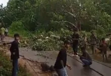 Usai Diguyur Hujan, Tiang Listrik di Muna Roboh dan Picu Pemadaman