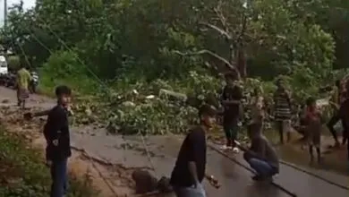 Usai Diguyur Hujan, Tiang Listrik di Muna Roboh dan Picu Pemadaman