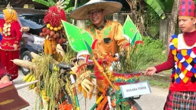 Koltim Tampilkan Sepeda Ontel Berbalut Singkong dan Padi Dalam Jambore PKK Sultra 2024