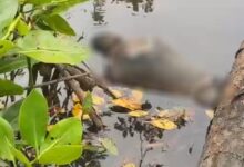 Sesosok Mayat Ditemukan di Sungai Motui Konawe, Berikut Kronologinya