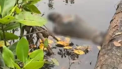 Sesosok Mayat Ditemukan di Sungai Motui Konawe, Berikut Kronologinya