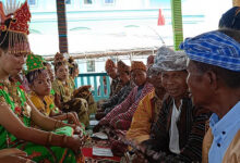 Mengenal Pesta Adat Karia'a Ajamani Etnis Cia-Cia di Pulau Binongko Wakatobi