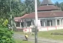Viral, Video Diduga Suami Pukul Istri di Pinggir Jalan Desa Lapadaku Mubar