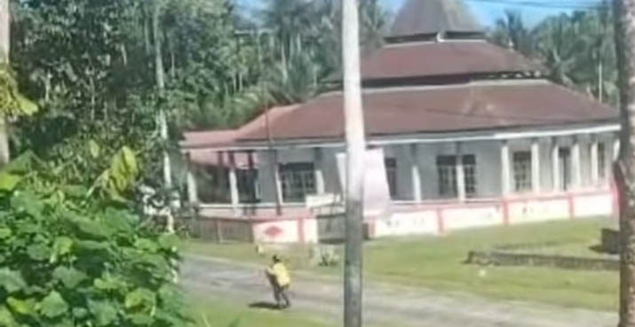 Viral, Video Diduga Suami Pukul Istri di Pinggir Jalan Desa Lapadaku Mubar
