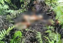 Warga Mubar Temukan Mayat Perempuan Tanpa Busana