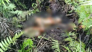 Warga Mubar Temukan Mayat Perempuan Tanpa Busana