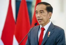 Presiden Jokowi Dikabarkan Bakal Kunker di Mubar, Pemda Mulai Lakukan Persiapan
