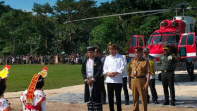 Presiden Jokowi Tiba di Raha, Disambut Tari Linda hingga Dipasangkan Kampurui Khas Muna