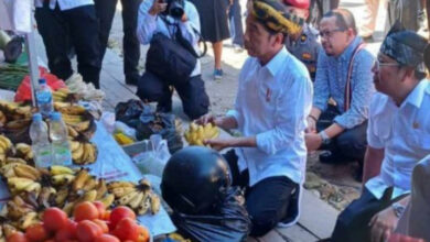 Momen Presiden Jokowi Membeli Pisang dan Mencicipinya di Pasar Laino Raha
